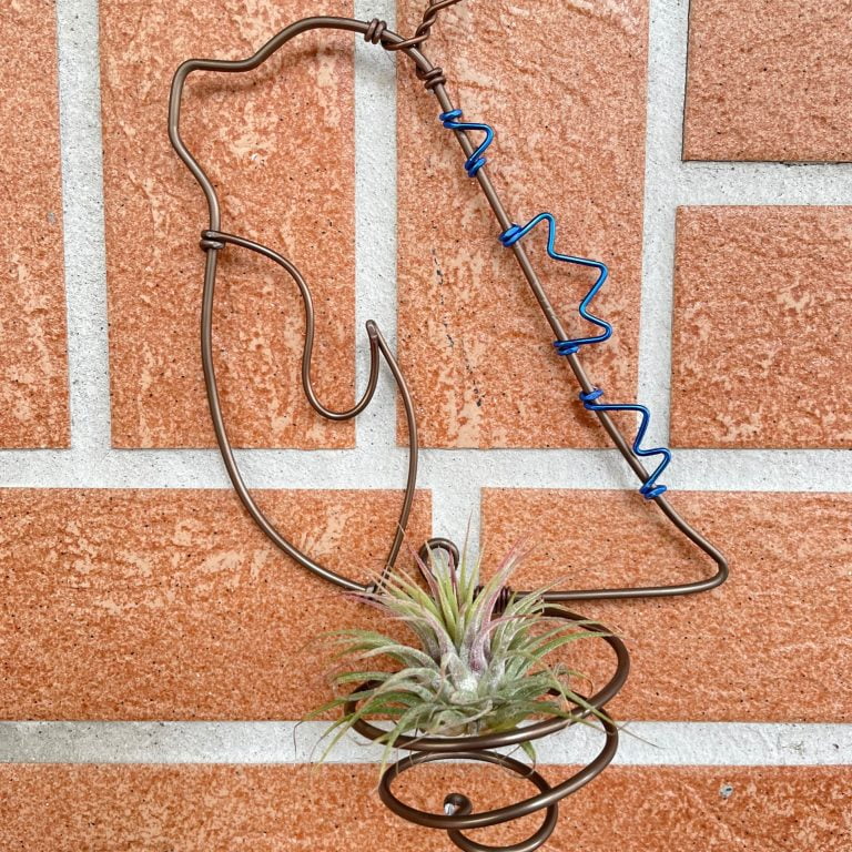 多肉仙人交易所