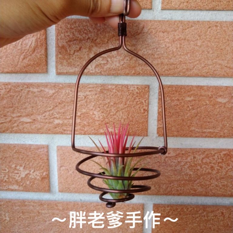 多肉仙人交易所