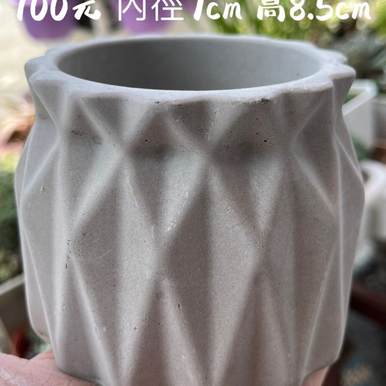 多肉仙人交易所