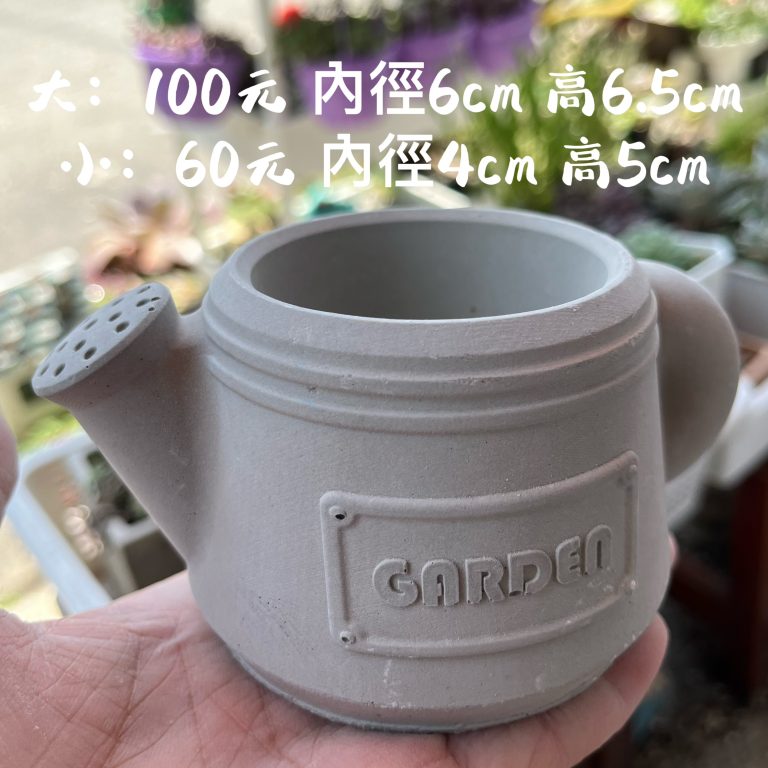 多肉仙人交易所