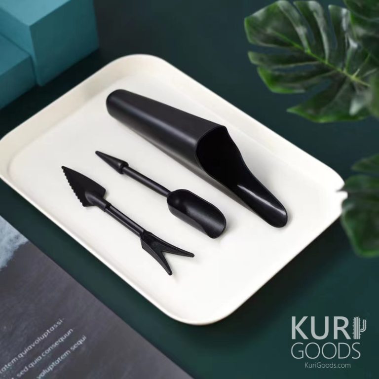 多肉仙人交易所