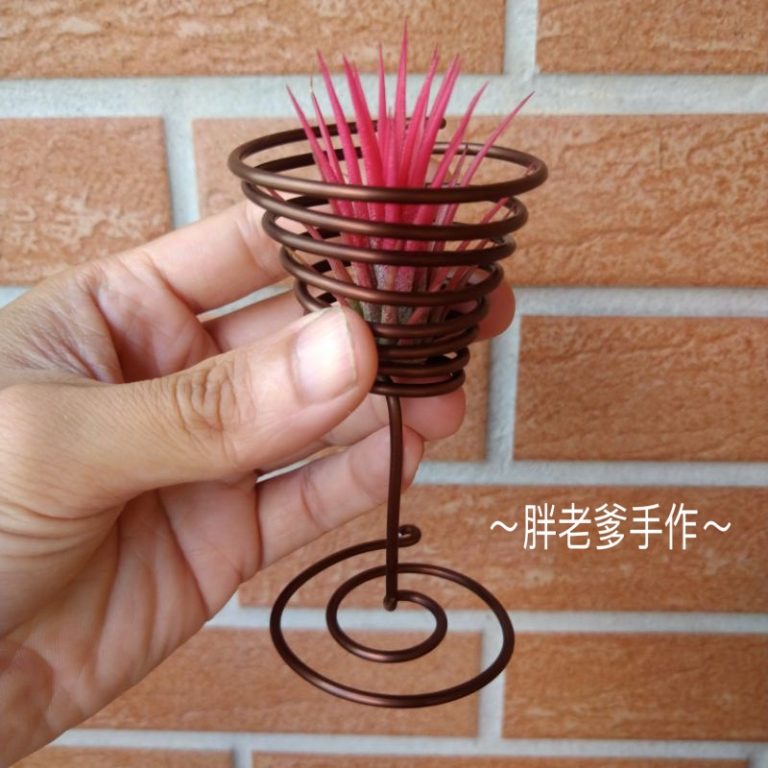 多肉仙人交易所