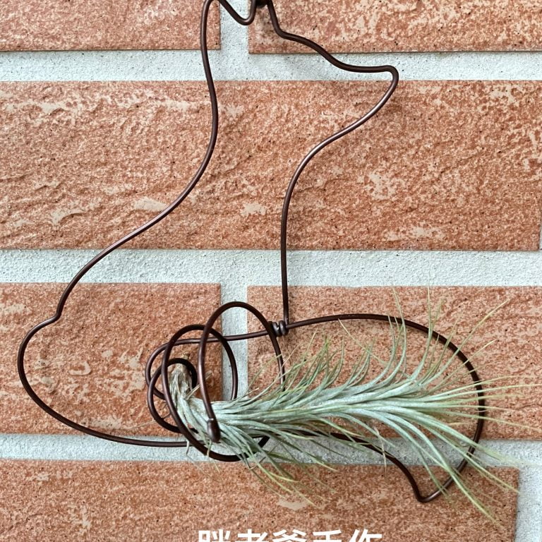 多肉仙人交易所