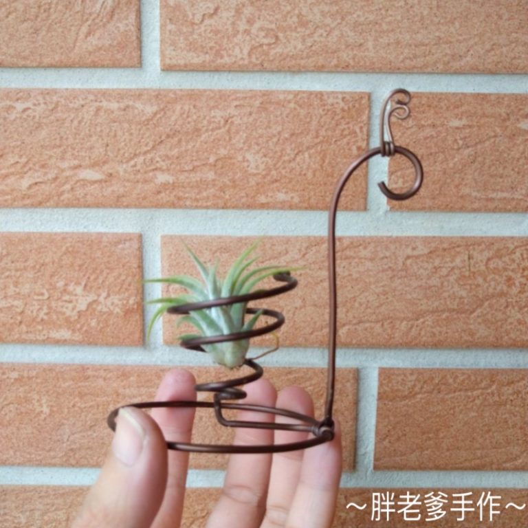 多肉仙人交易所