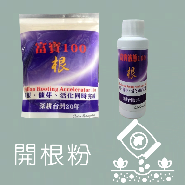 多肉仙人交易所