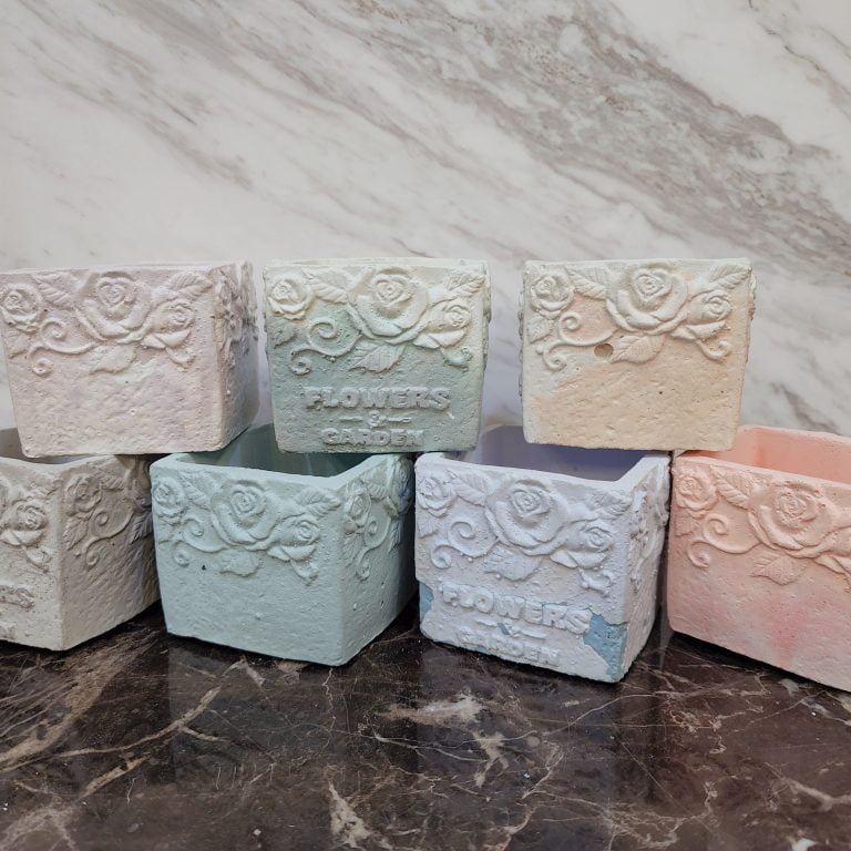 多肉仙人交易所