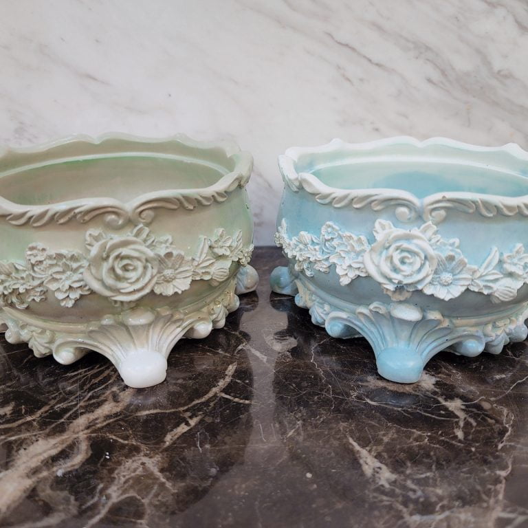 多肉仙人交易所