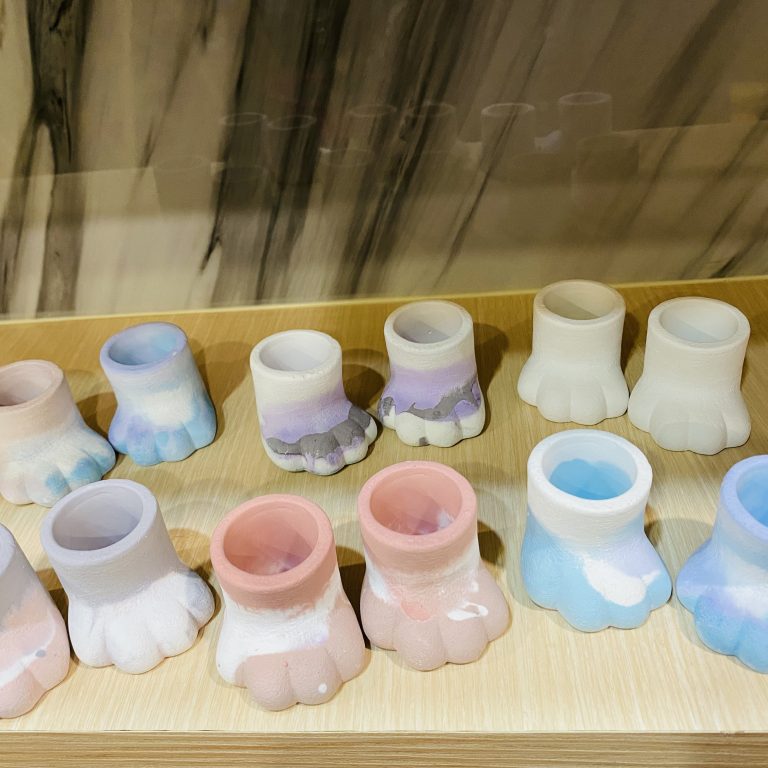 多肉仙人交易所