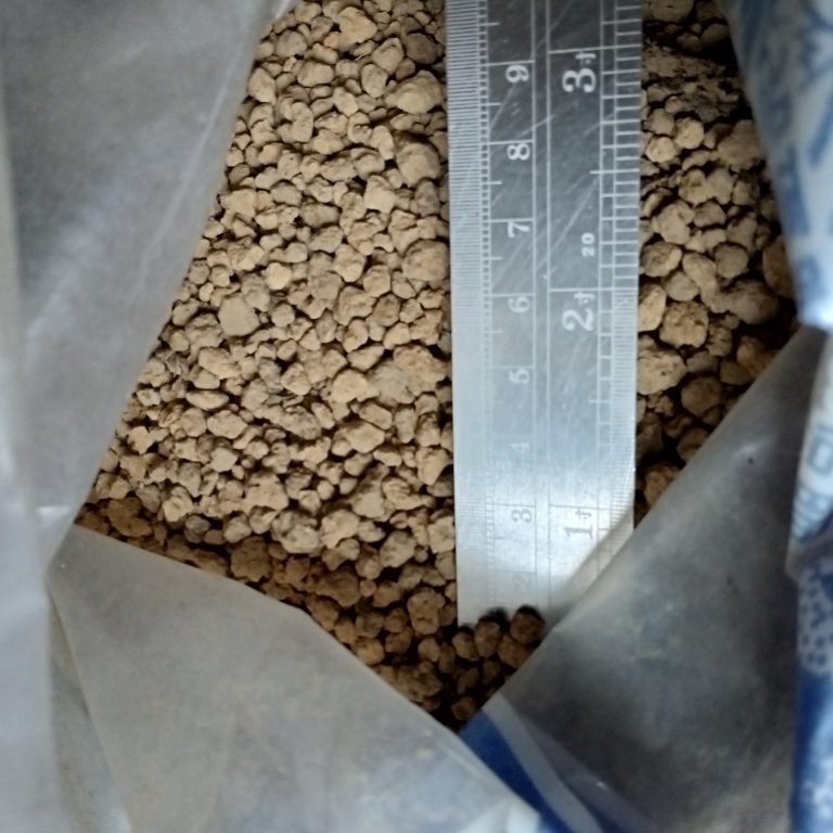 多肉仙人交易所