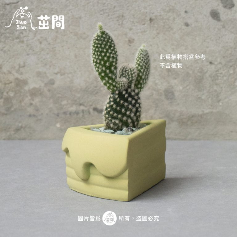 多肉仙人交易所