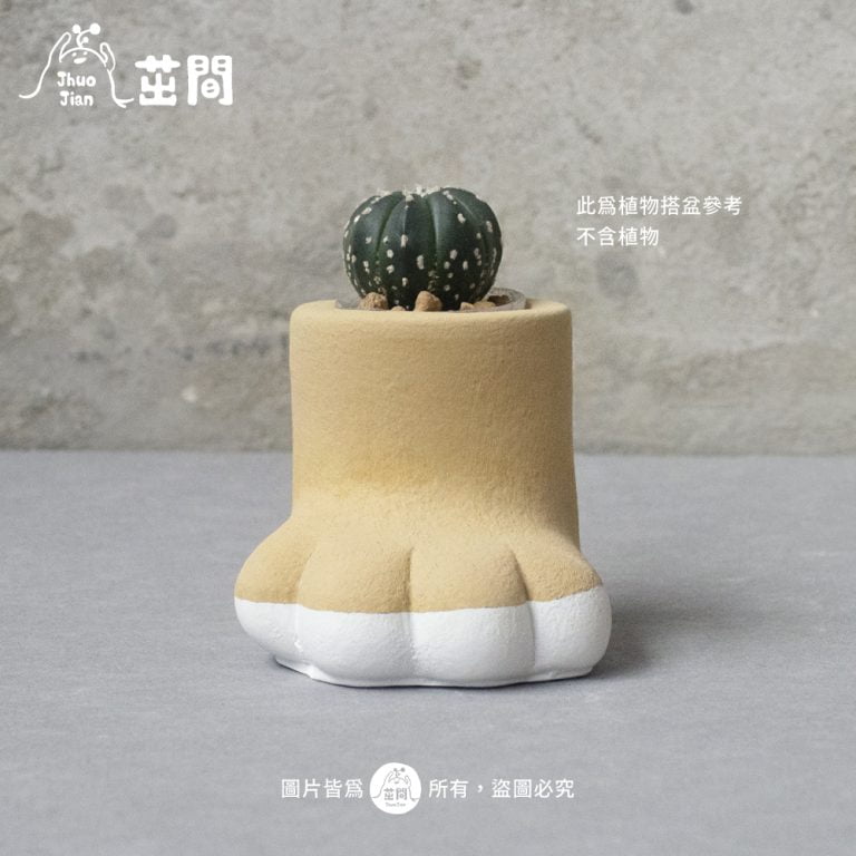 多肉仙人交易所