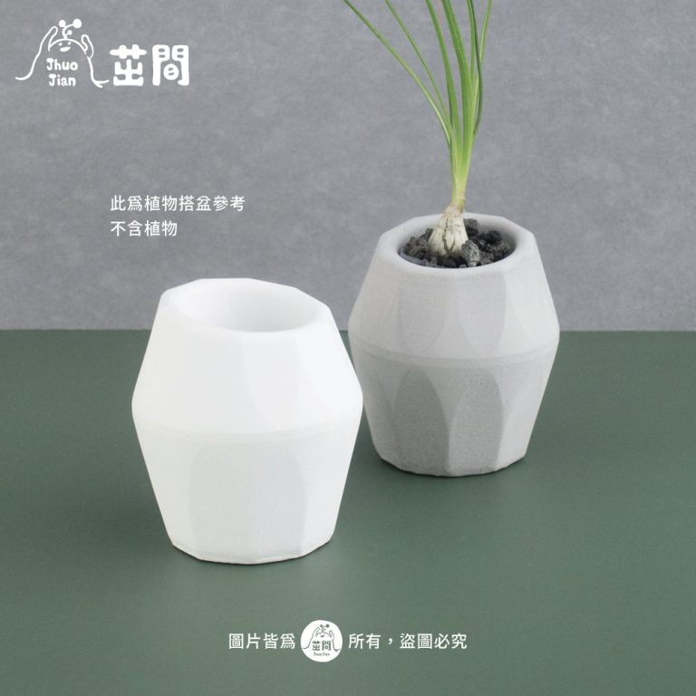 多肉仙人交易所