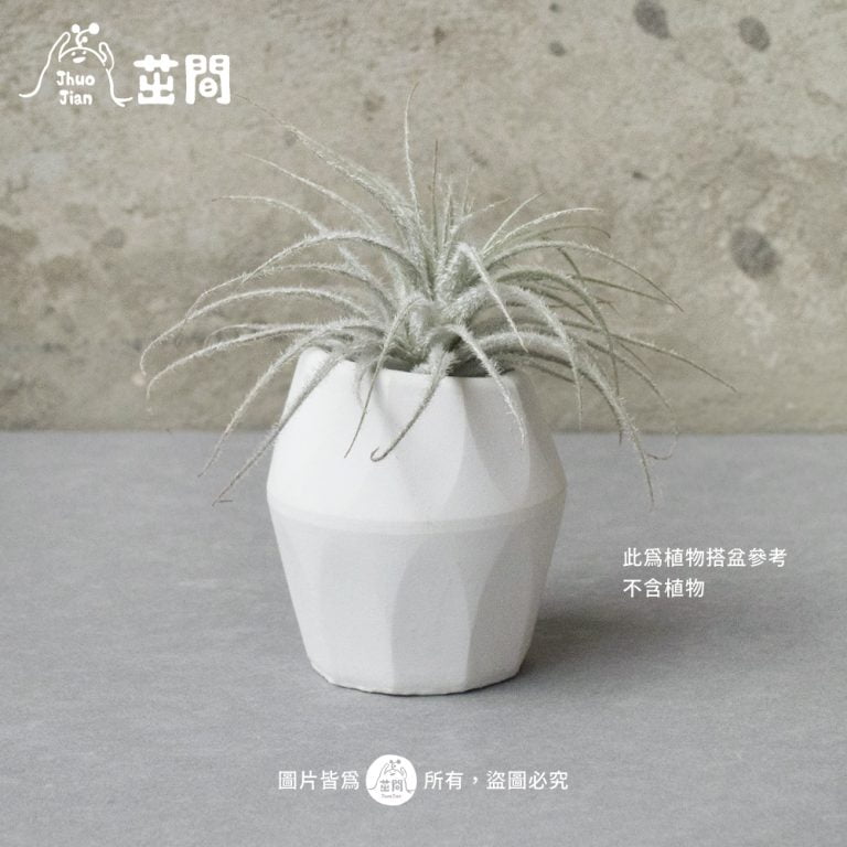 多肉仙人交易所