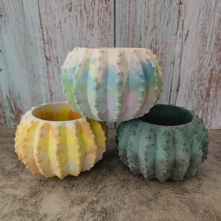 多肉仙人交易所