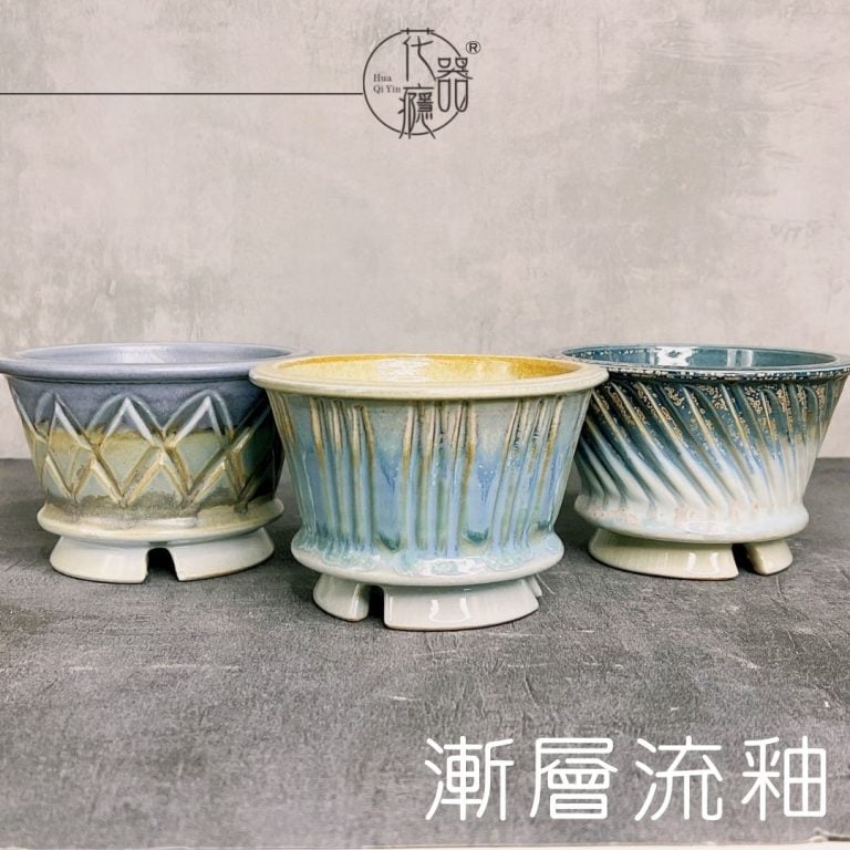 多肉仙人交易所