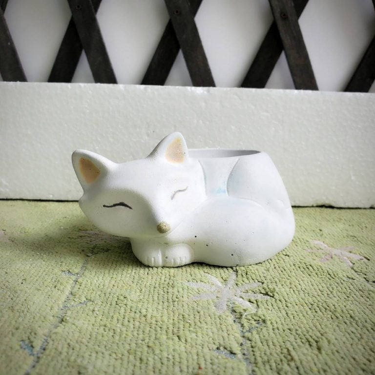 多肉仙人交易所