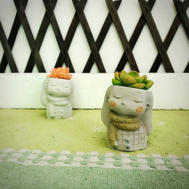 多肉仙人交易所