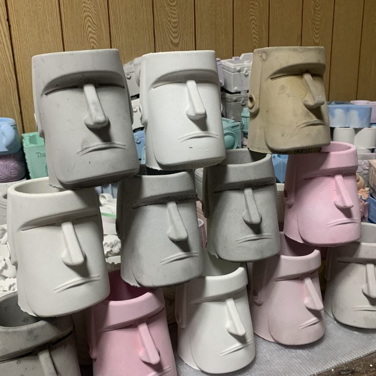 多肉仙人交易所