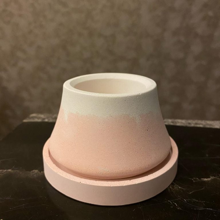 多肉仙人交易所