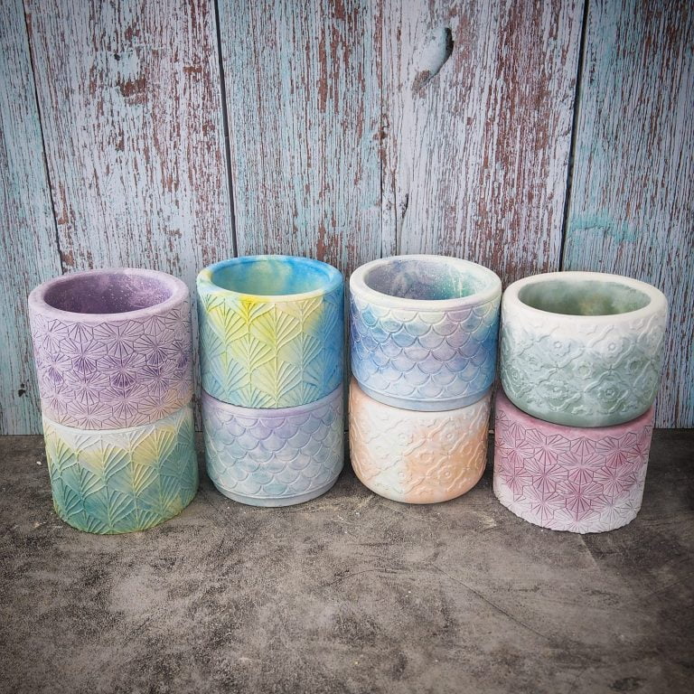 多肉仙人交易所