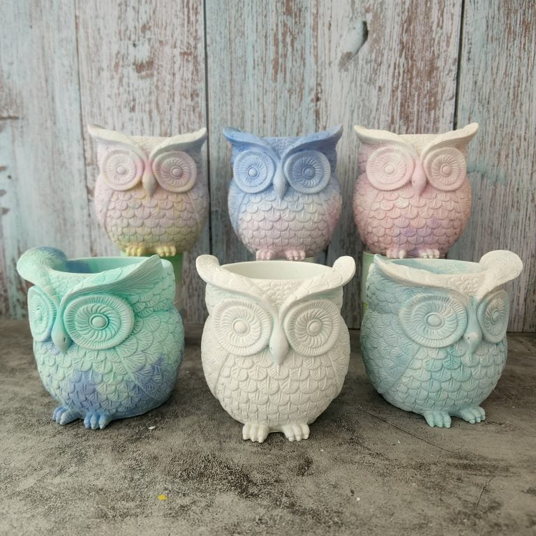 多肉仙人交易所