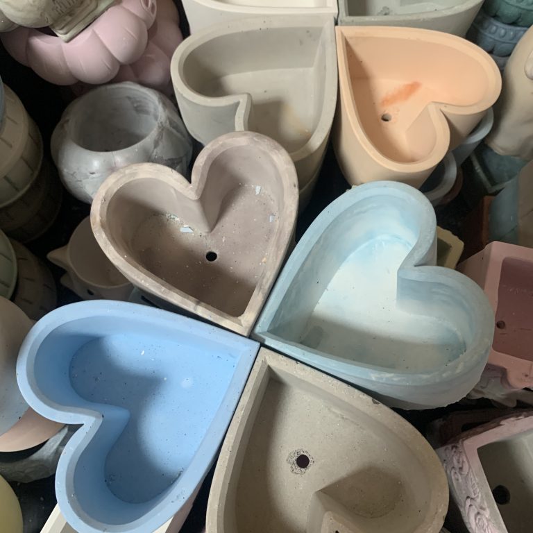 多肉仙人交易所