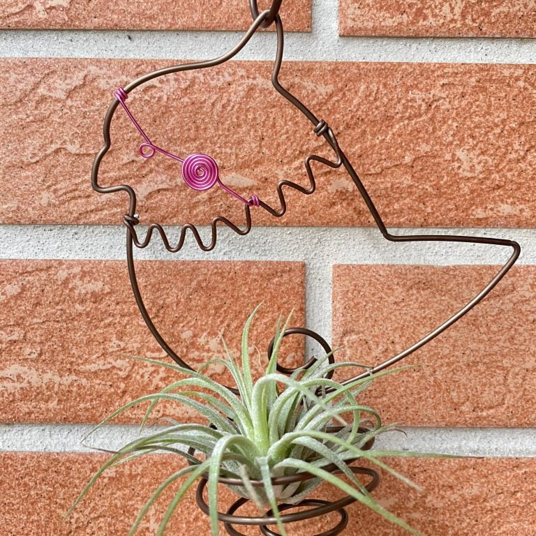 多肉仙人交易所