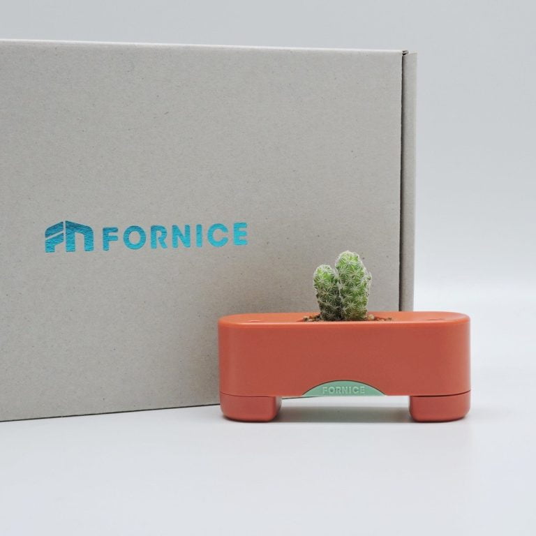 多肉仙人交易所