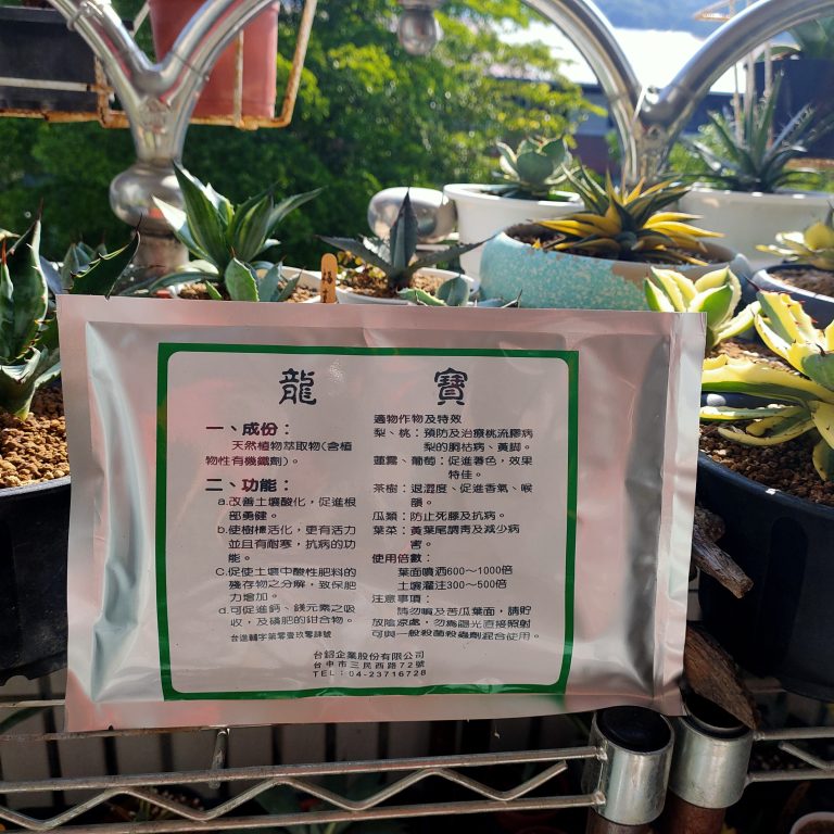 多肉仙人交易所