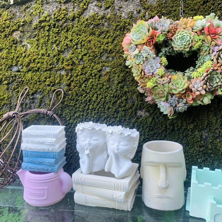 多肉仙人交易所