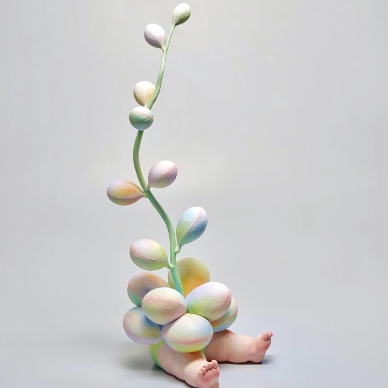 多肉仙人交易所