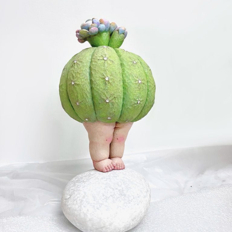 多肉仙人交易所