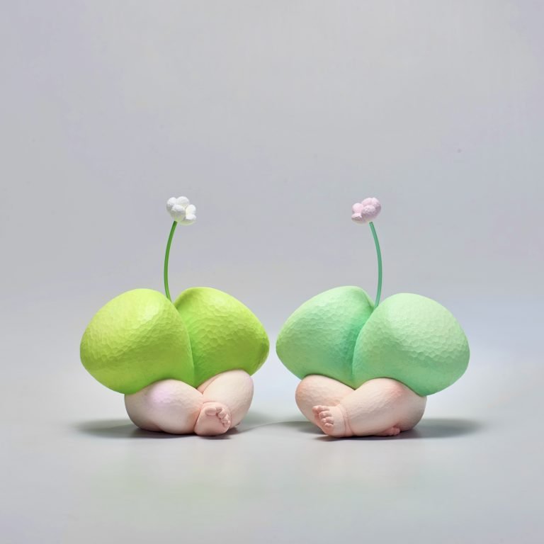 多肉仙人交易所