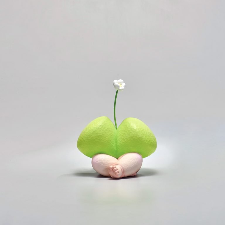 多肉仙人交易所