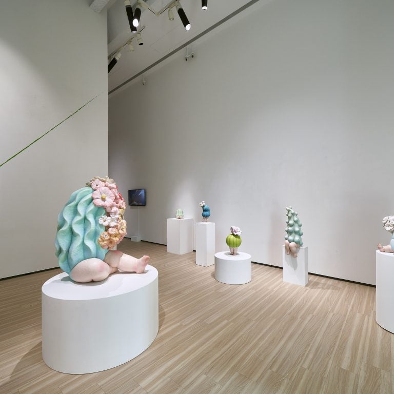 多肉仙人交易所