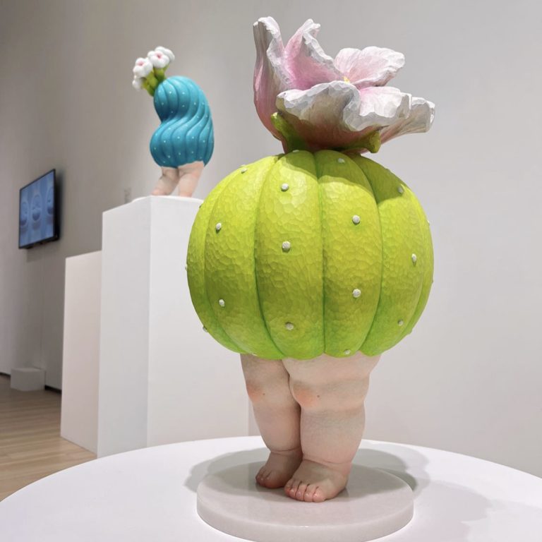 多肉仙人交易所