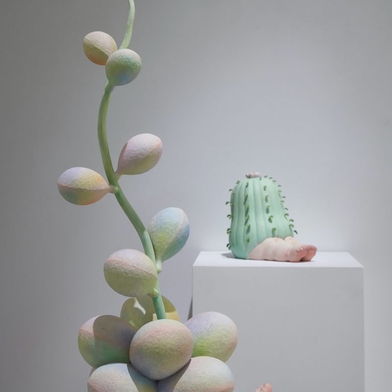 多肉仙人交易所