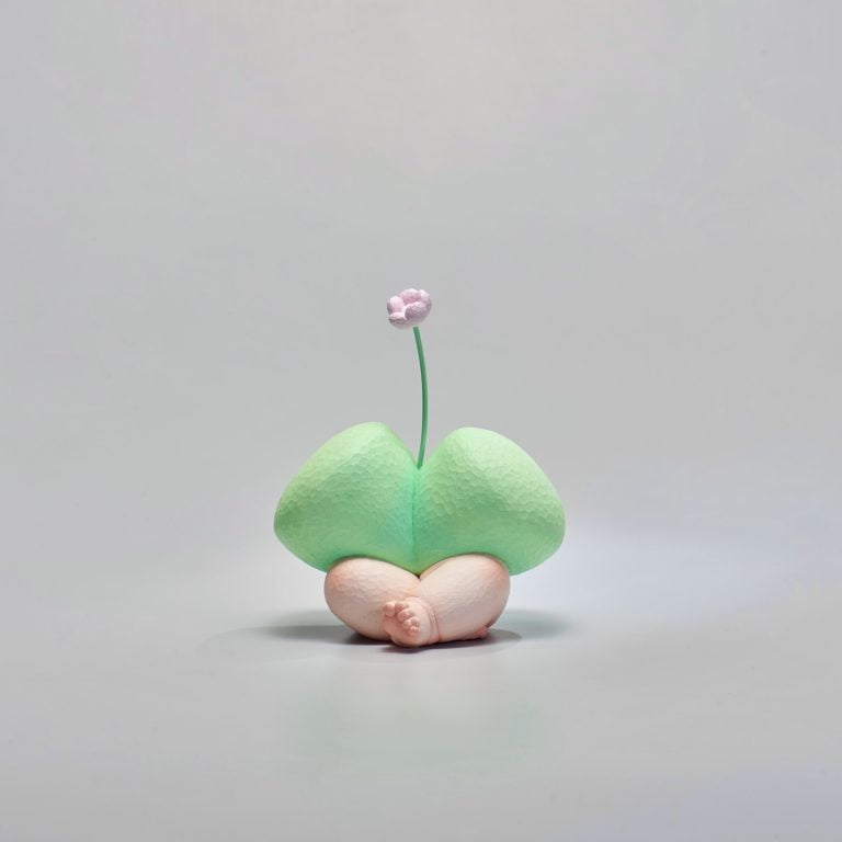 多肉仙人交易所