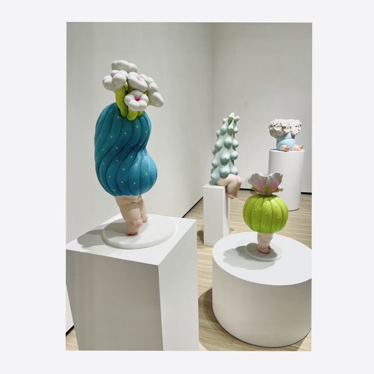 多肉仙人交易所