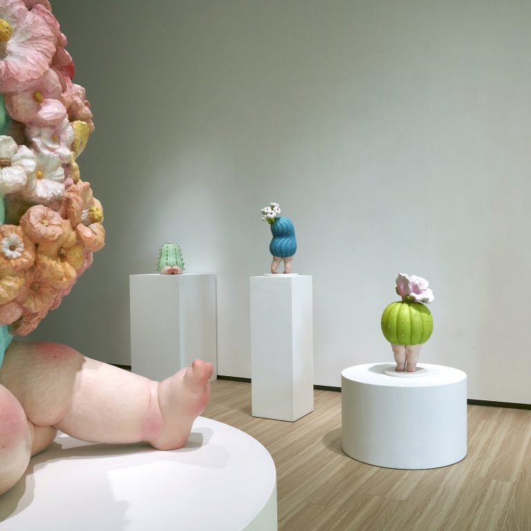 多肉仙人交易所