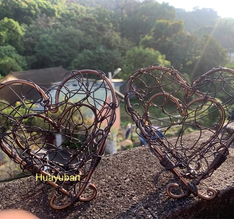 多肉仙人交易所