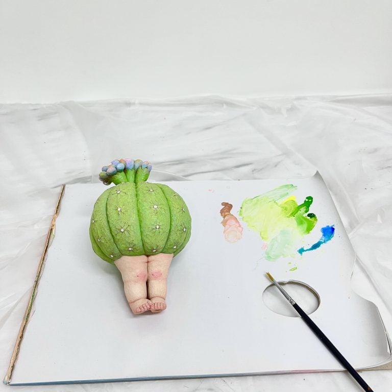 多肉仙人交易所