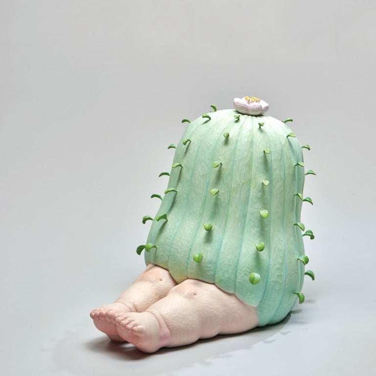 多肉仙人交易所