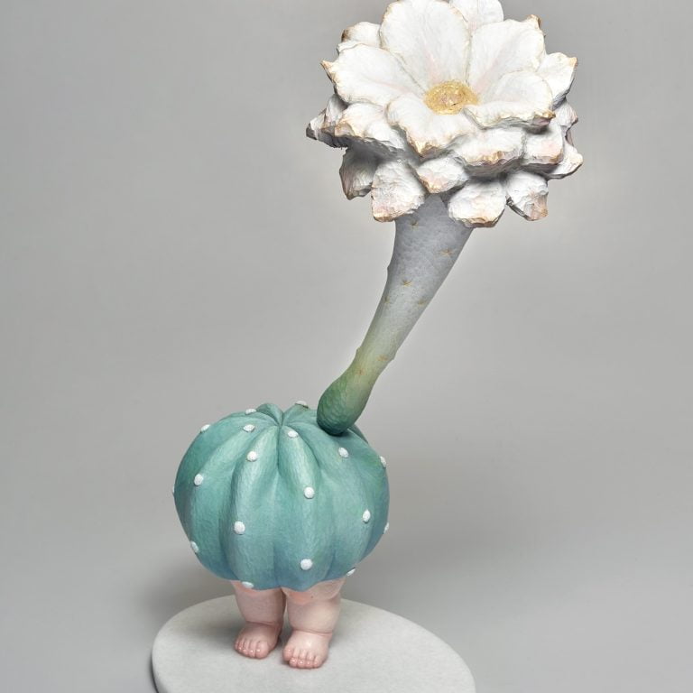 多肉仙人交易所