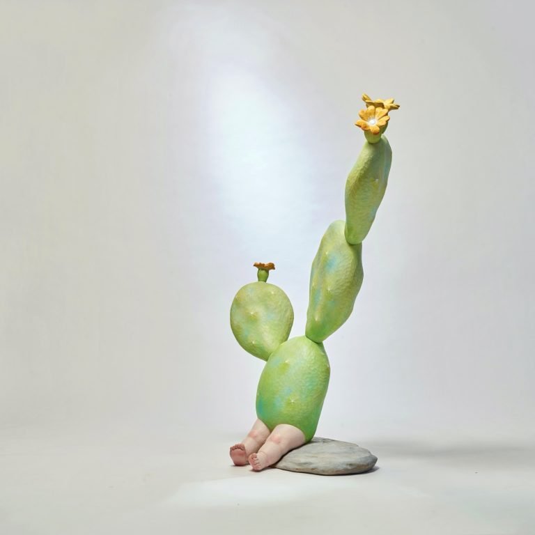 多肉仙人交易所