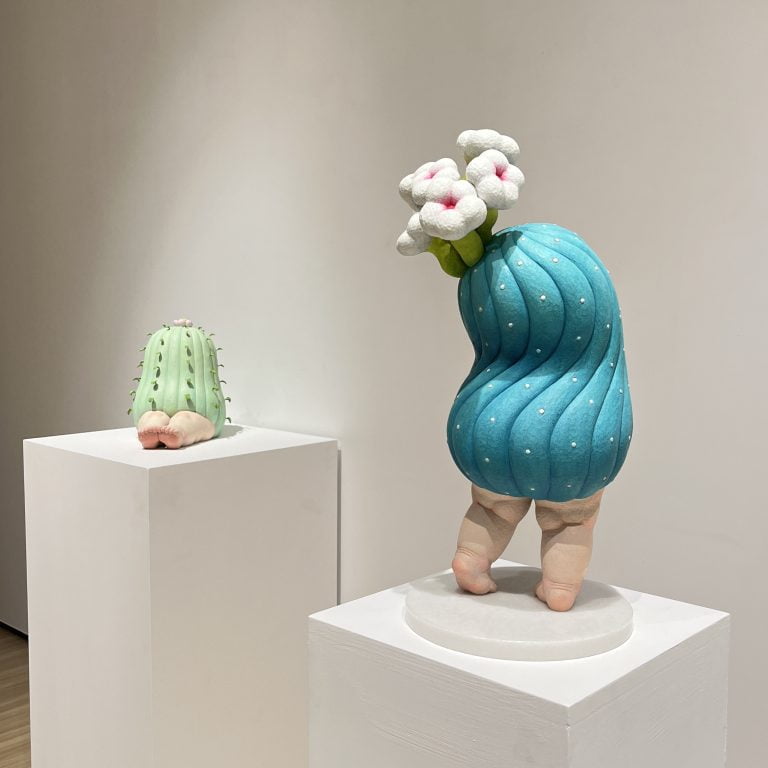 多肉仙人交易所