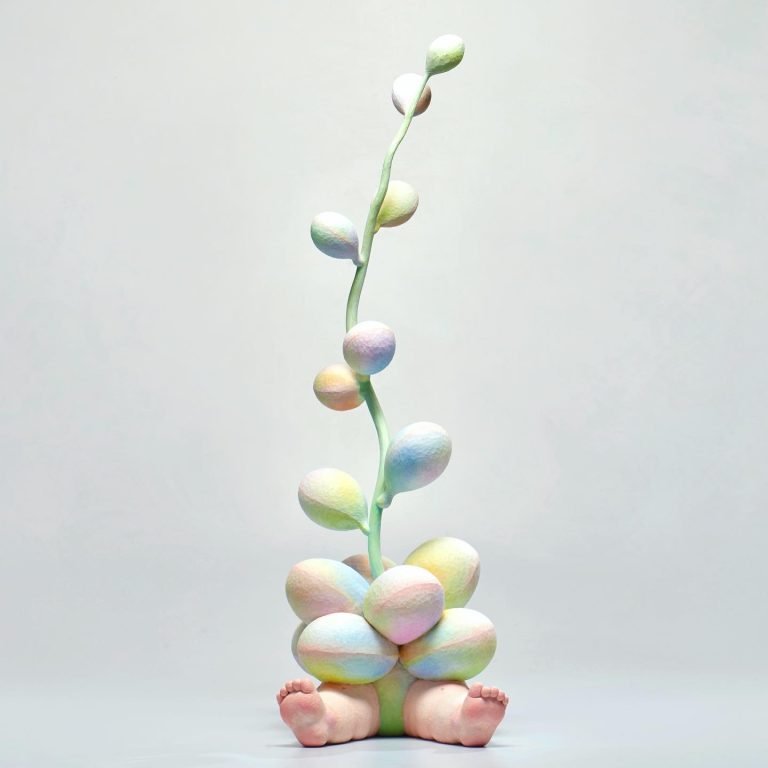 多肉仙人交易所