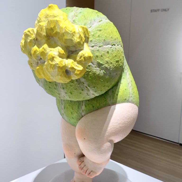 多肉仙人交易所