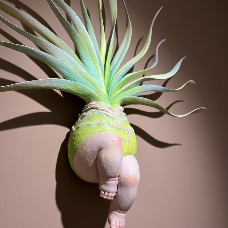 多肉仙人交易所