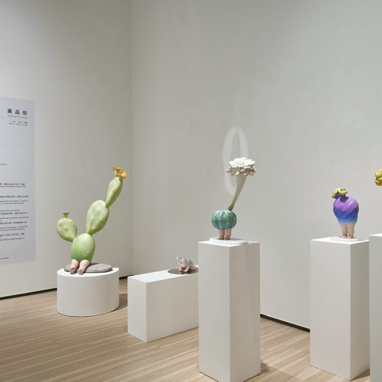 多肉仙人交易所